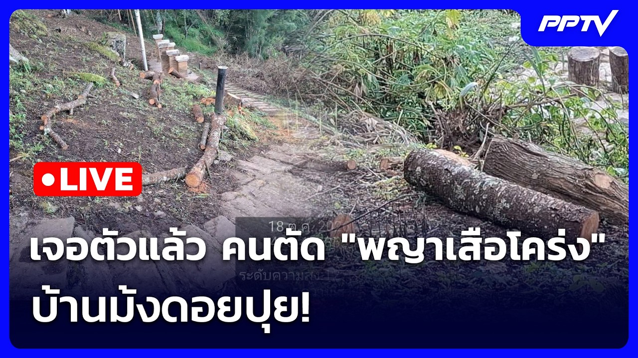🔴สด! เข้มข่าวค่ำช่วงที่ 2 | เจอตัวแล้ว คนตัด "พญาเสือ