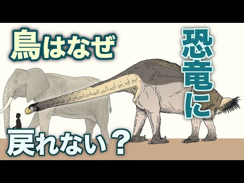 1986 年から 1990 年の間に記載された爬虫類の種のリスト - 定義