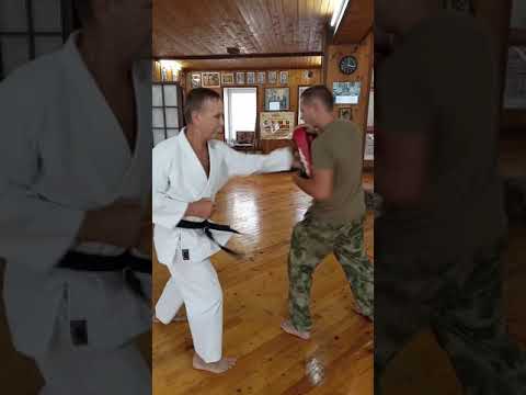 control of the degree of penetration of seiken dzuki / Sensei Stepin Roman 6 dan Shorin ryu Shubukan