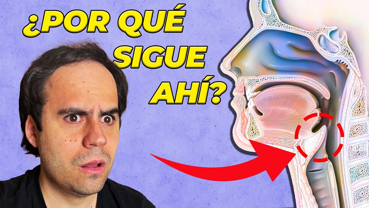5 Partes de tu Cuerpo que NO Deberían Existir