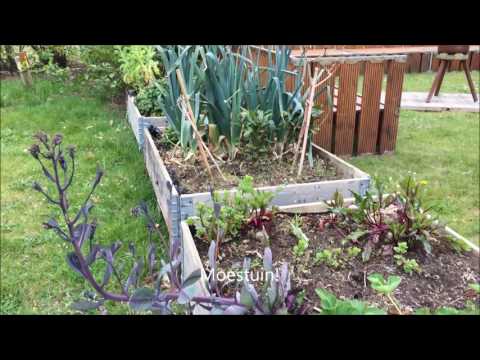 Surf Sea 'n Soul - opbouw back to basic locatie