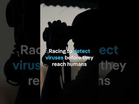 Racing To Detect Viruses Before They Reach Humans | Dw Documentary