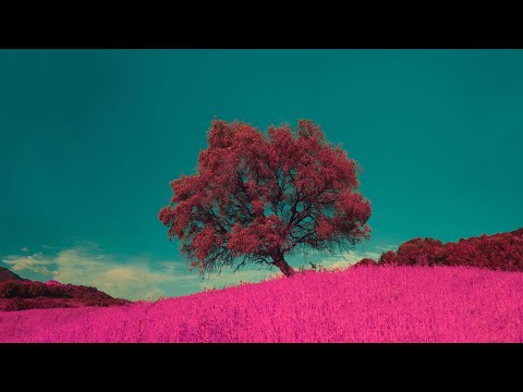 Dan Sieg - Erko [Silk Music]