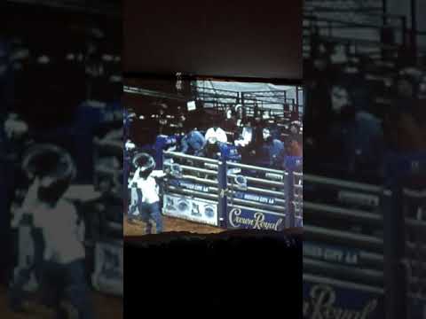 Ronny kitchens .bull riding