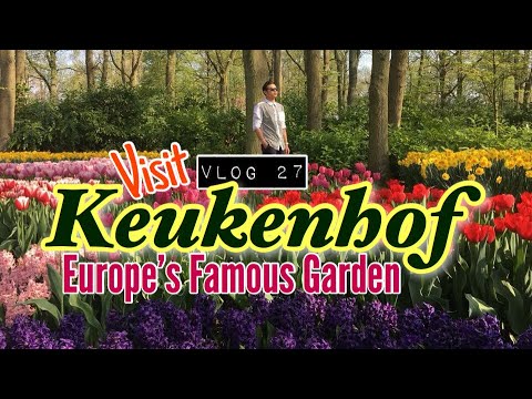 Spring in Netherlands I Visit Keukenhof Gardens and admire millions of tulips!