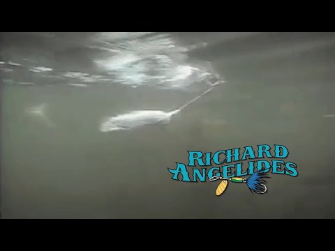 Richard Angelides in Expedition One's Gone Fishin'