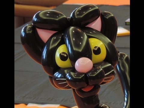 The best cat balloon you can learn(advanced)