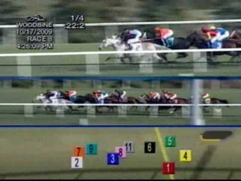 2009 Nearctic Stakes