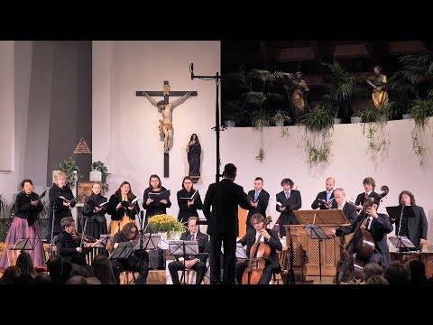 František Xaver Brixi | Pastores - Ensemble Inégal