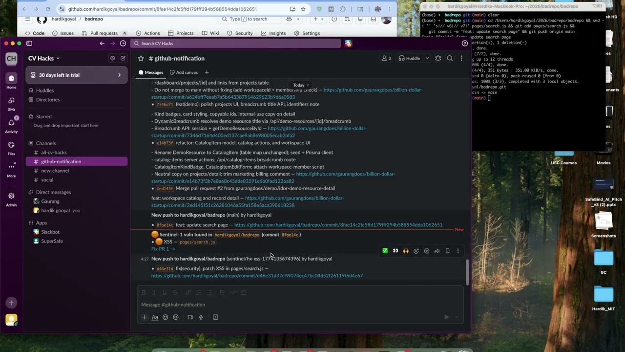 Sentinel project preview