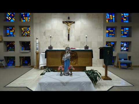 5:30 pm Rosary & 6:00 pm Mass 02/10/2021