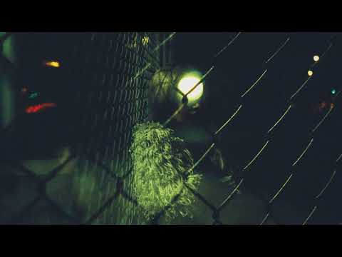 The Chainsmokers & Marshmello ft  Halsey   Limitless NEW SONG 2017