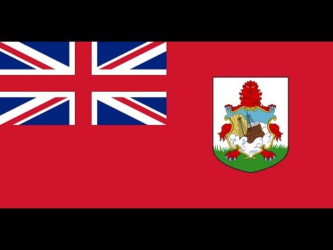 The Adventures of Ronnie and Dr. Sheba in Bermuda