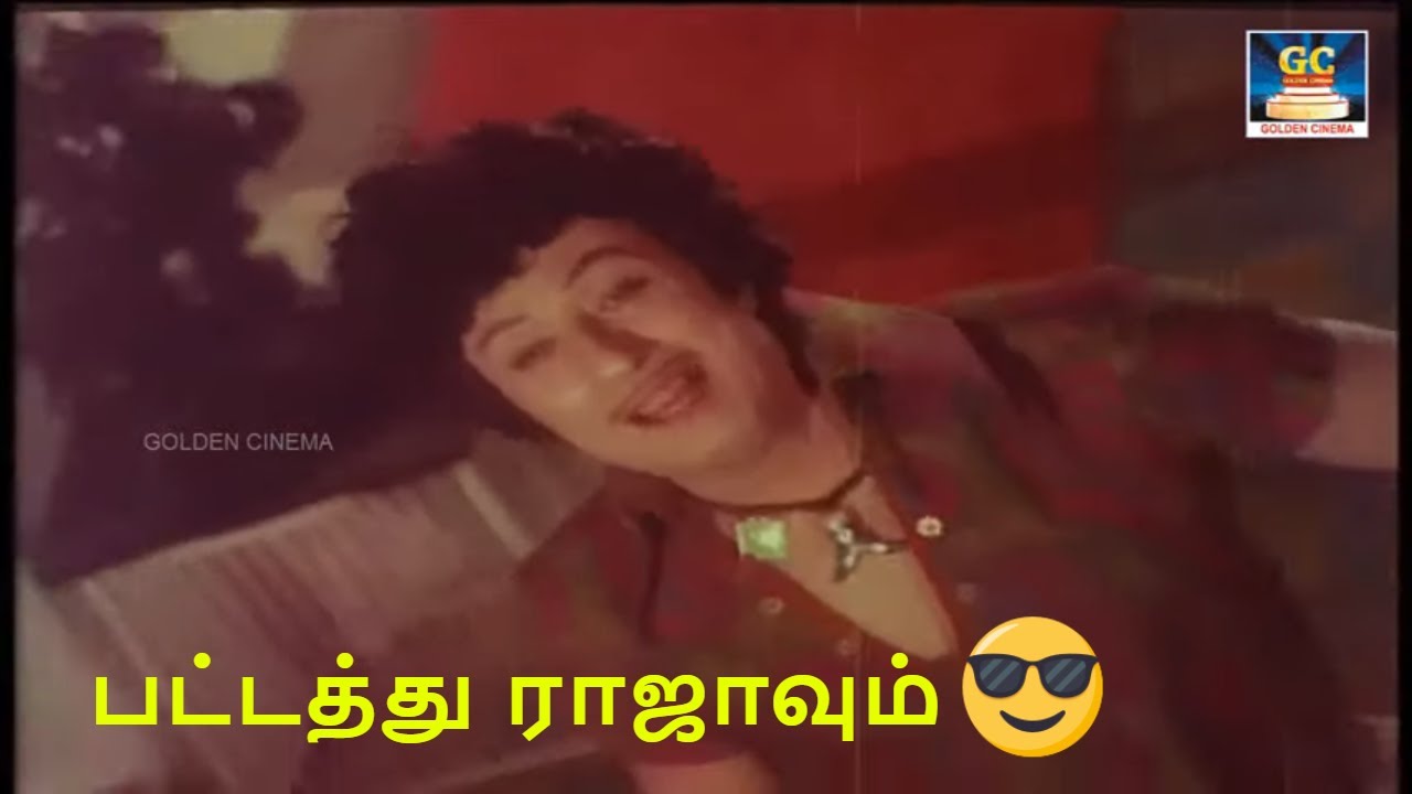 Pattathu Rajavum Song Lyrics | Meenava Nanban,