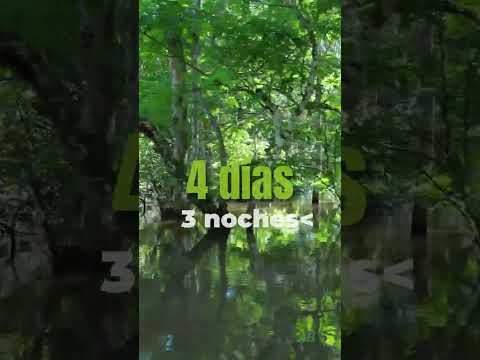 El Amazonas es ese destino donde la naturaleza habla