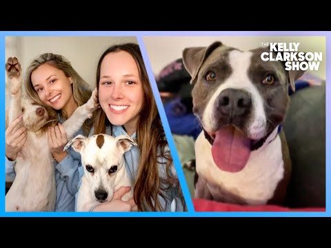 LA Sisters Save 300 Dogs Through Bubbles Dog Rescue