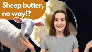 This is What Happens When you Make Sheep Butter