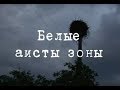 Белые аисты зоны (Чернобыльские джунгли) 
