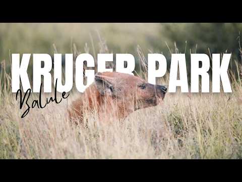 You're Doing Kruger Wrong If You Skip This | EP2 | Kruger National Park