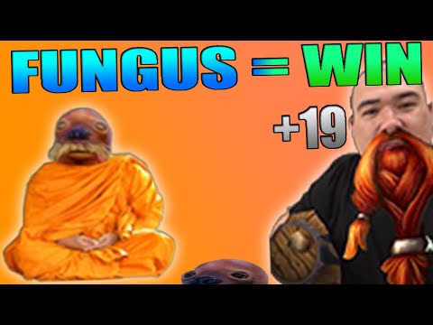 Never tilt💀 Always put fungus🍄