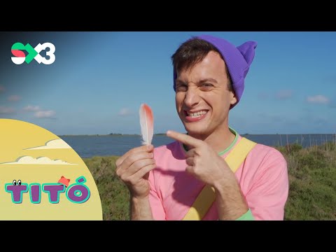 Excursió al Delta | Titó