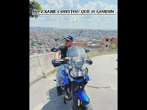 Mc Gordin Sp - Triumph 800