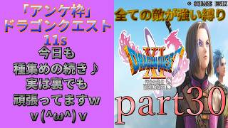 アンケ枠「DQ11s」初プレイだけど裏ボス撃破目指す？part30