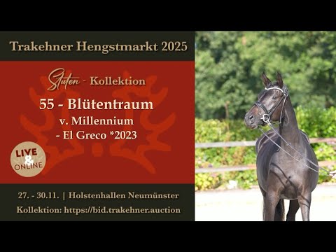 55 - Blütentraum - mare by Millennium - El Greco *2023