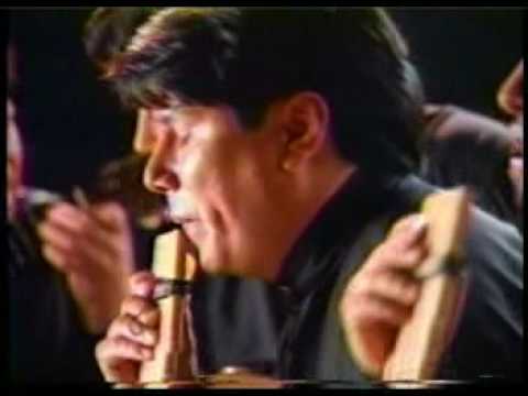 proyecto PACHA - negrita