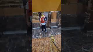 001 120 jours de voyage, 120 jours de rêve en mer. On débute maintenant. #worldcruise #twaiworld