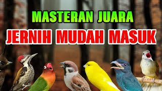 Download lagu MASTERAN MURAI BATU JUARA MATERI LENGKAP SUARA JERNIH mp3 Download lagu MASTERAN MURAI BATU JUARA MATERI LENGKAP SUARA JERNIH mp3