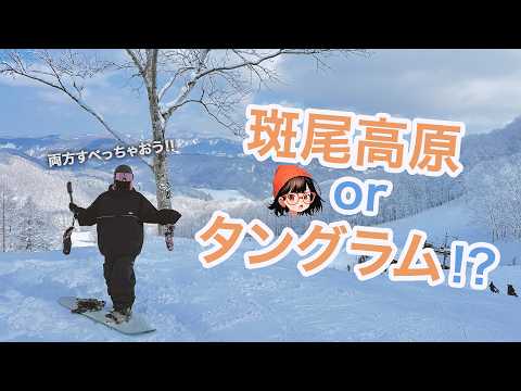 Video: 斑尾高原かタングラム!?どっちがいいの？1泊2日レポート【Vlog】