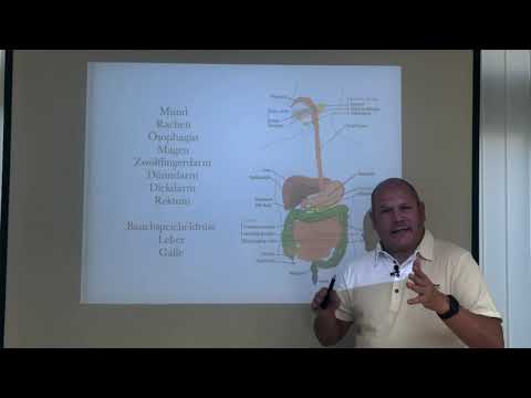 Verdauungstrakt Anatomie I