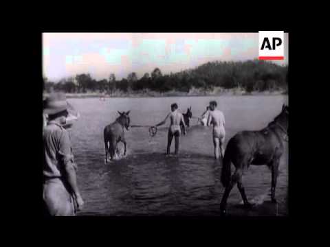 Chindits (Into Burma)