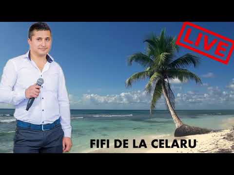 FIFI DE LA CELARU || MUZICA DE PETRECERE || HORE SI SARBE  || CEL MAI NOU COLAJ