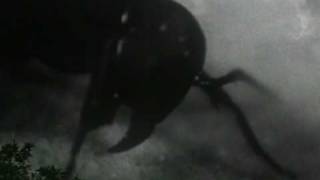 "Spellbreaker" — Ross Cashiola