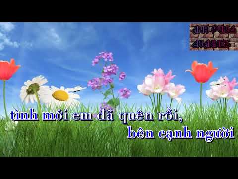 [karaoke]Ngắm Hoa Lệ Rơi - châu khải Phong - tone nữ