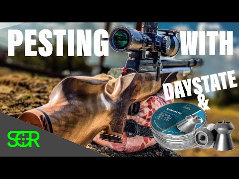 Pesting with the Daystate Huntsman Revere .22 - Rabbits and the H&N Terminators at night with ATN