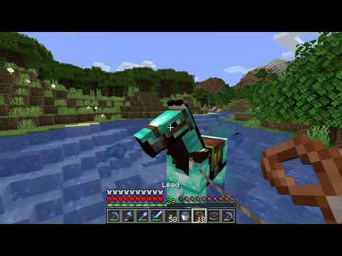 How to get your Horse back when it disappears - Minecraft