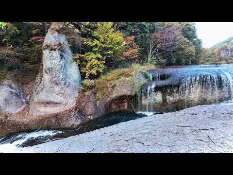 Fukiwari cai no outono