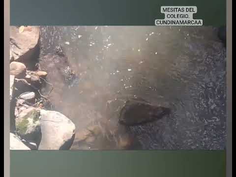 MESITAS DEL COLEGIO. CUNDINAMARCA COLOMBIA 