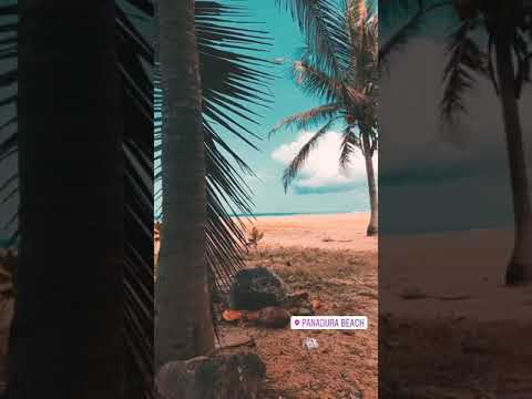 panadura beach 🏖