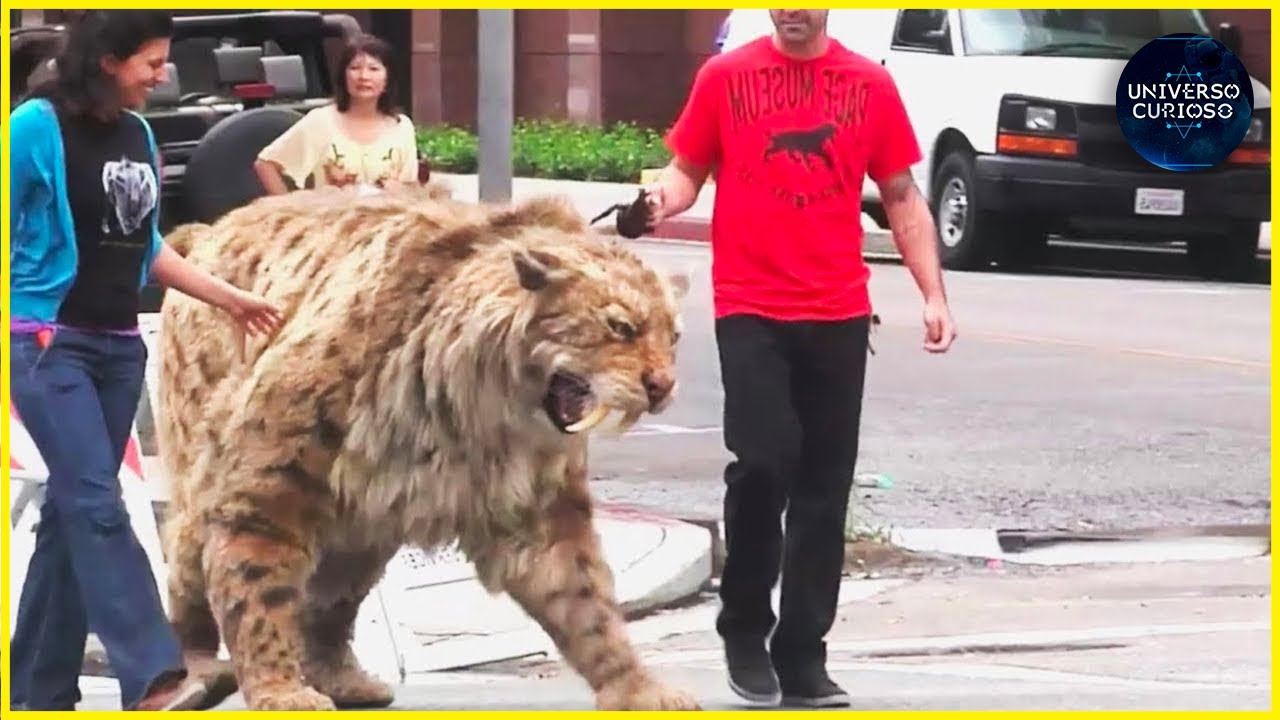 9 animais que VOLTARAM da extinção!!