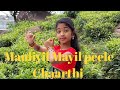 Vishu Special Mauliyil Mayil Peele Chaarthi Dance By Devalakshmi J Devutty