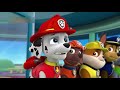 PAW Patrol Full HD Pups Team Episode 21 Pups Save A Bat Pups Save A Toof Funny Movies For KIDs Pa