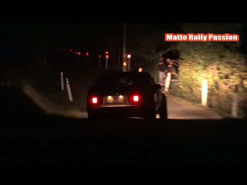 RallyLegend 2020 - DAY 1 | MIX PASSAGE | MISTAKE & SHOW