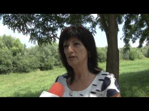 Dolores Kiss Rotaru, coordonator M10 Lugoj
