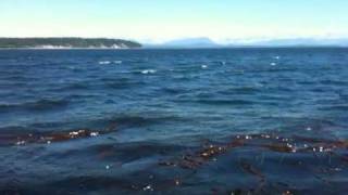 preview picture of video 'Campbell River, BC - June 13, 2010'
