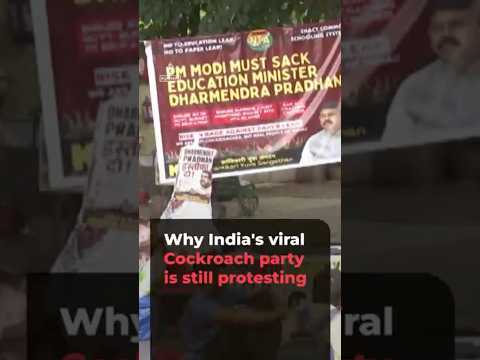 Why India's viral youth party is still protesting