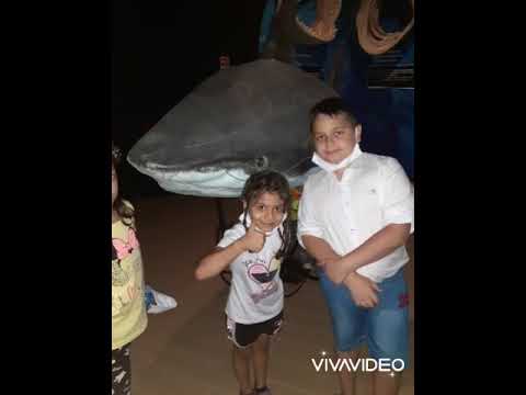 acquario di cattolica